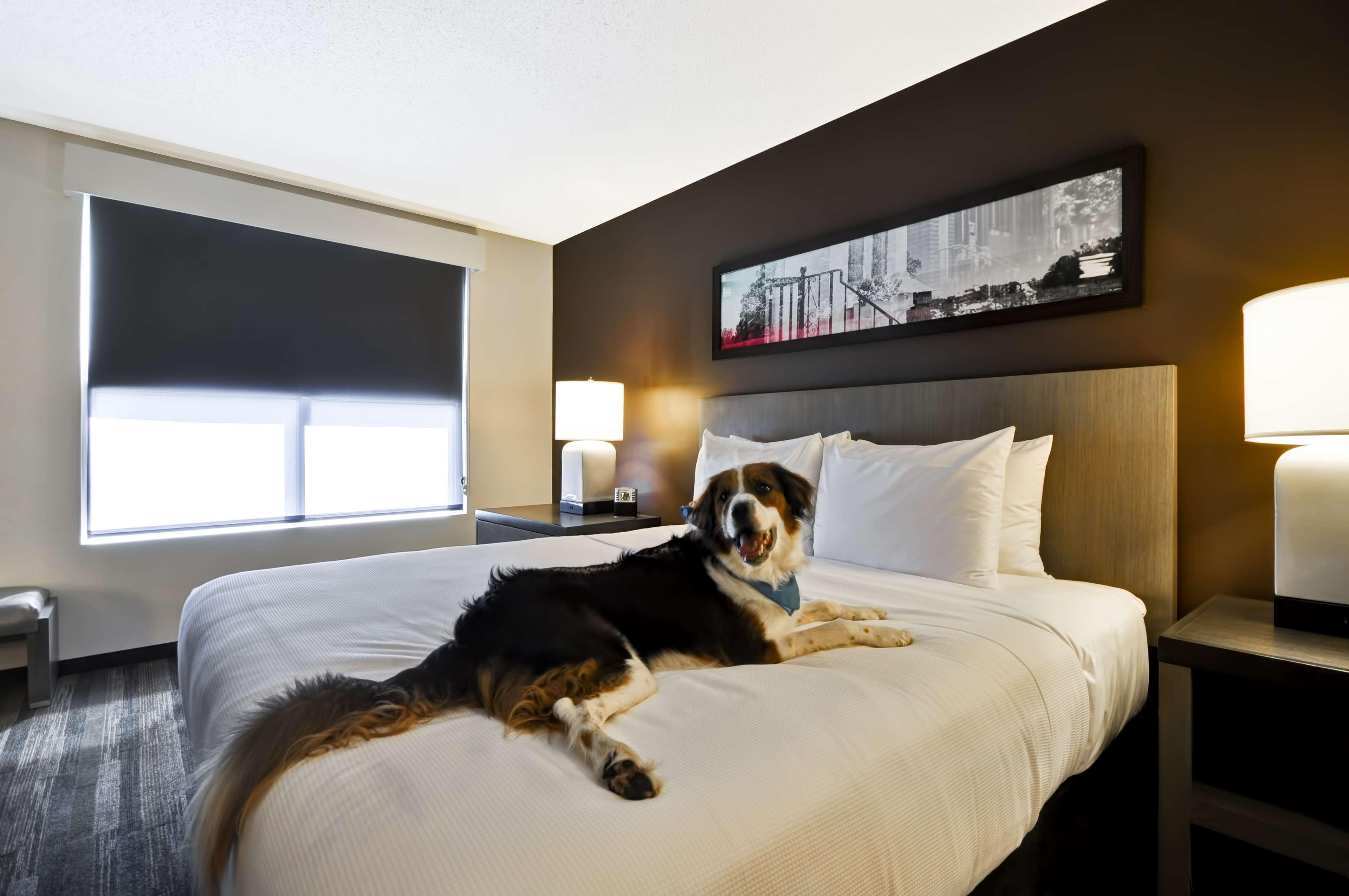 Hyatt House Atlanta Cobb Galleria Смирна Экстерьер фото